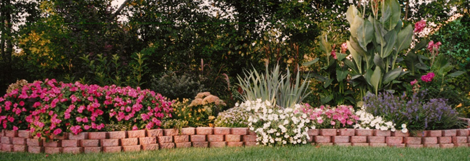 Property Maintenance Services
